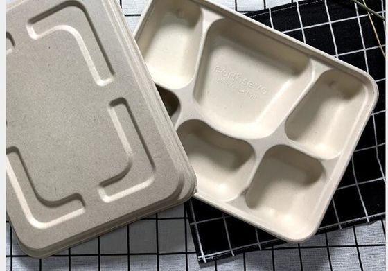 FDA 6 مقصورات أدوات مائدة قابلة للتحلل قش القمح صندوق غداء يمكن التخلص منه