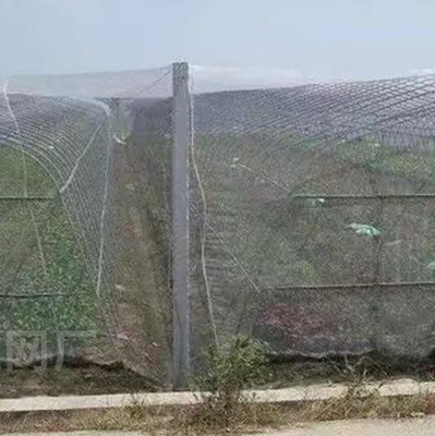 100٪ بي إيه بيضاء شفافة لون الدفيئة مكافحة الحشرات الشبكة للنباتات والعنب
