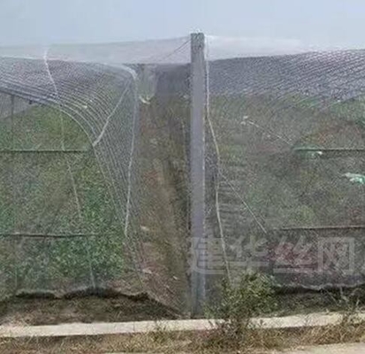 40 50 60 شبكة 125 غرام الزراعة الدفيئة مكافحة الحشرات شبكة مع الطباعة المقبولة