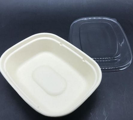 مستطيل حيوي شعبي على شكل حرف U أدوات مائدة من قصب السكر لحاوية طعام السلطة مع غطاء شفاف